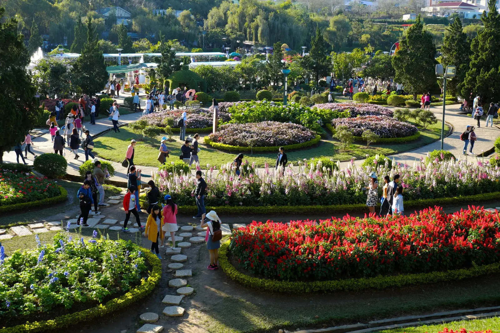 越南大叻花园（Da Lat Flower Garden），拥有四季盛开的花卉与缤纷园艺景观。
