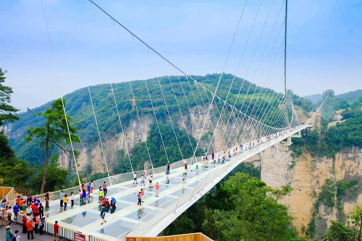 The spectacular Zhangjiajie Grand Canyon Glass Bridge spanning towering cliffs in Hunan, China.