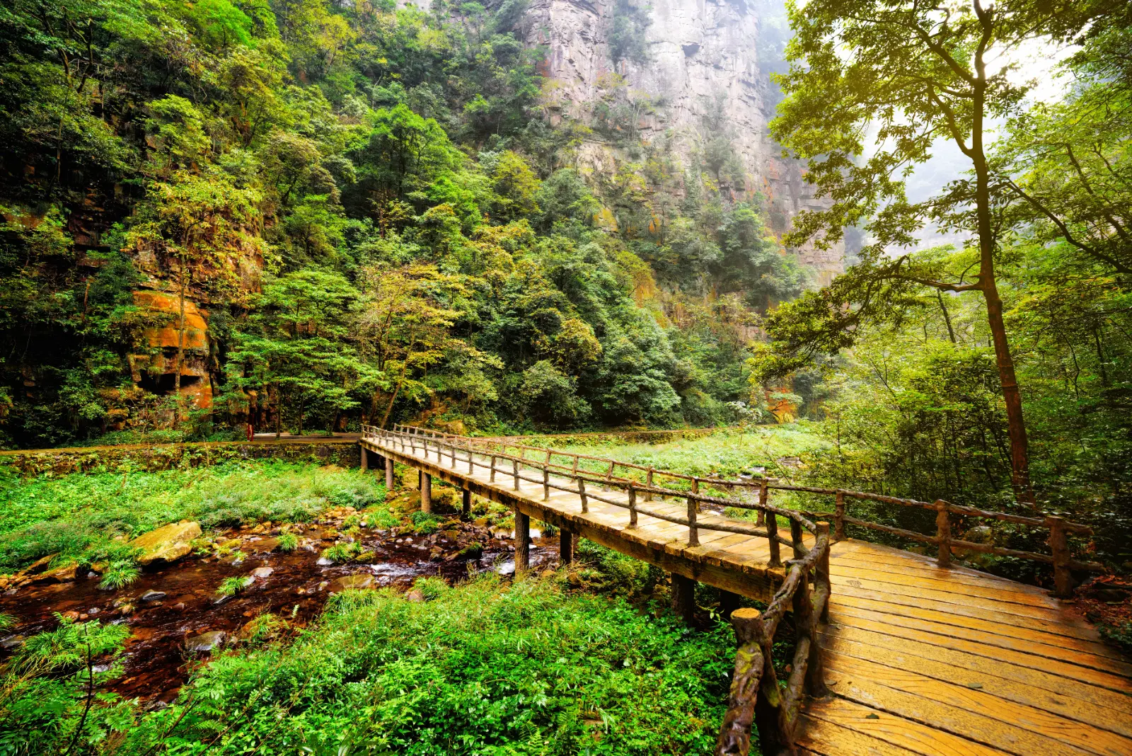 The scenic Golden Whip Stream boardwalk winding through lush forests and towering sandstone cliffs in Zhangjiajie National Forest Park, Hunan, China.