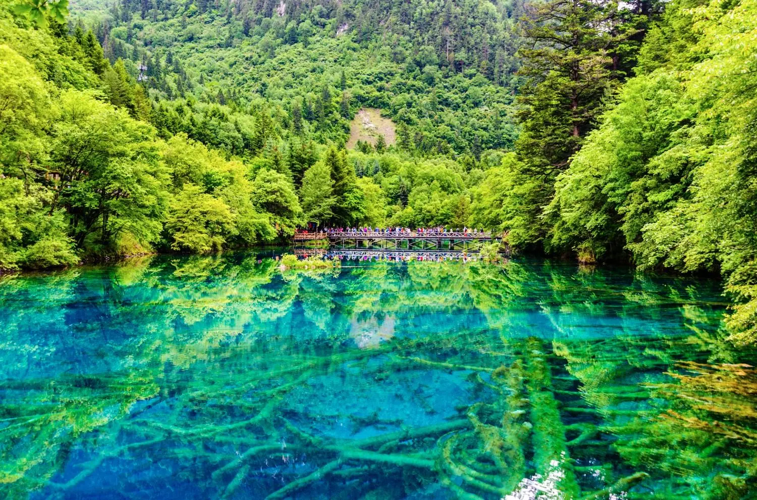 Jiuzhaigou National Park in Sichuan, China, featuring crystal-clear turquoise waters, lush forests, and breathtaking alpine scenery at the UNESCO World Heritage Site.