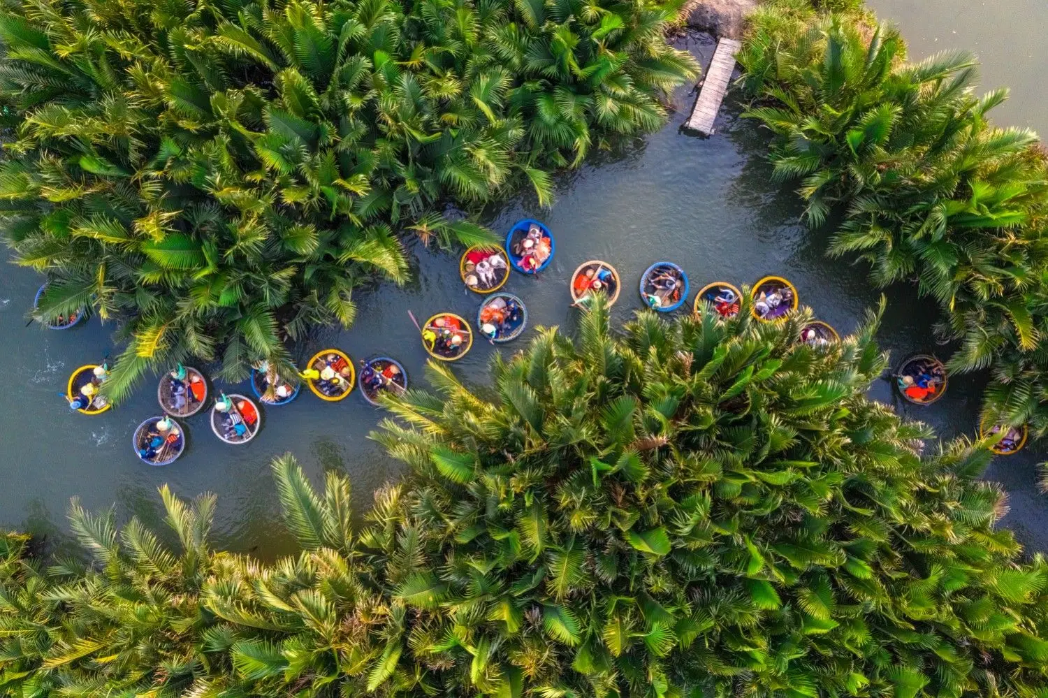 Cam Thanh Coconut Village basket boat tour in Hoi An, Vietnam, featuring colorful round bamboo boats gliding through lush nipa palm forests, one of Central Vietnam's most popular eco-tourism experiences.