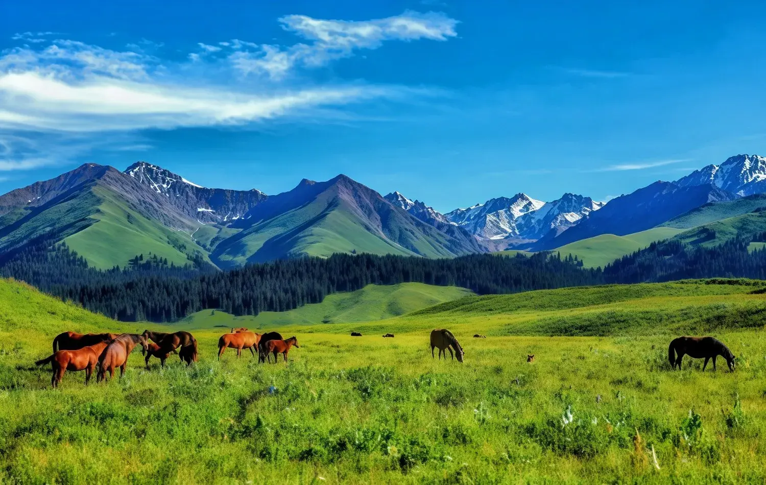 Nalati Grassland in Ili, Xinjiang, China, featuring vast alpine meadows, grazing horses, snow-capped Tian Shan Mountains, and breathtaking natural scenery, one of the most beautiful grasslands in Northern Xinjiang.
